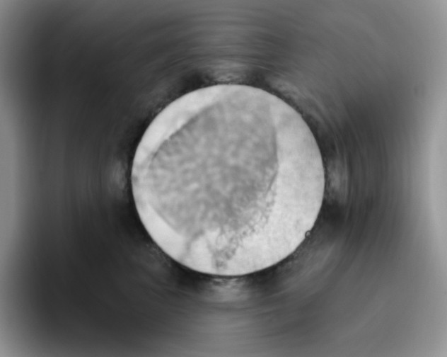 X0000093520667200711091740