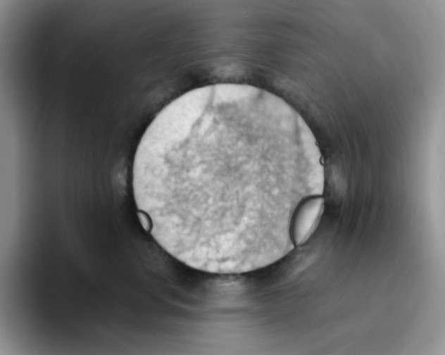 X0000093520668200711091740