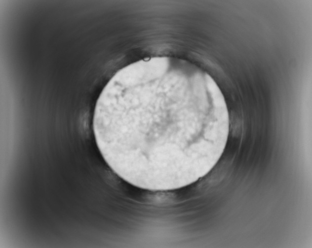 X0000093520670200711091740