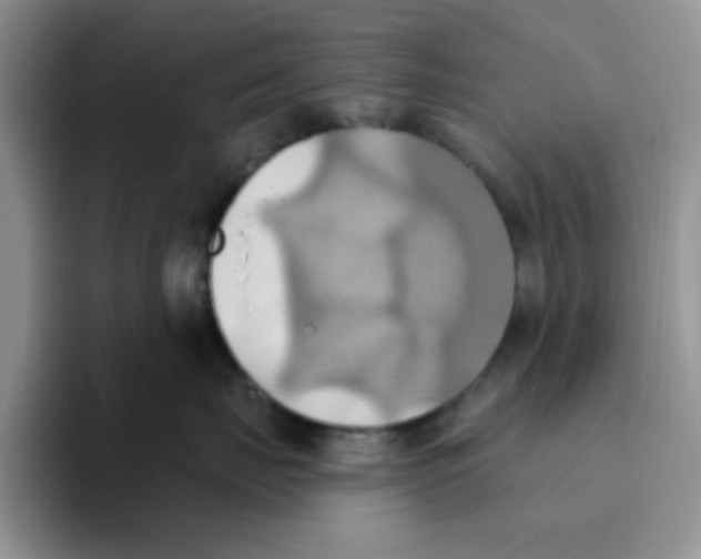 X0000093520671200711091740