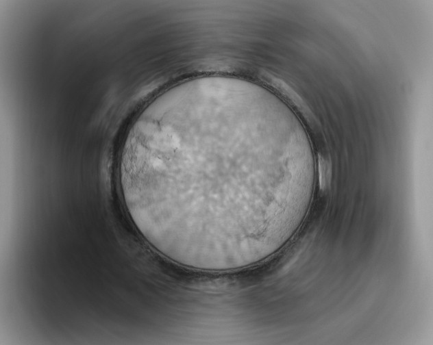 X0000093520675200711091740