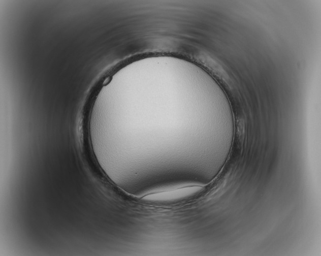 X0000093520676200711091740