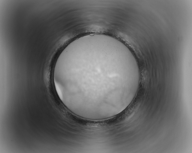 X0000093520679200711091740