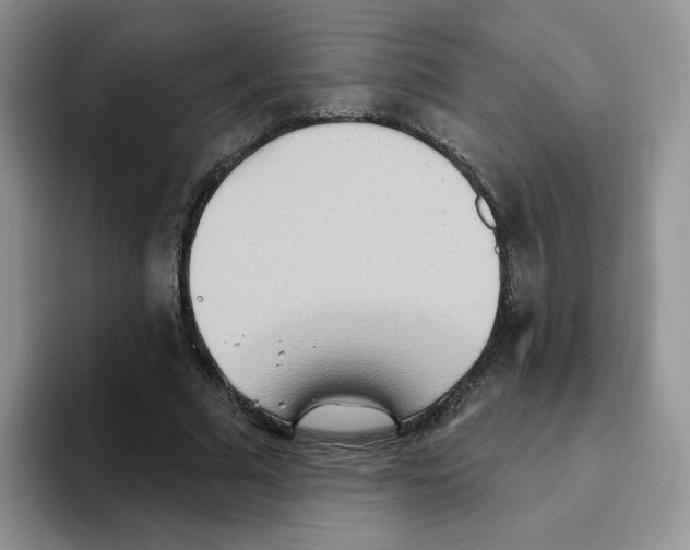 X0000093520681200711091740