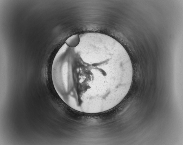 X0000093520683200711091740