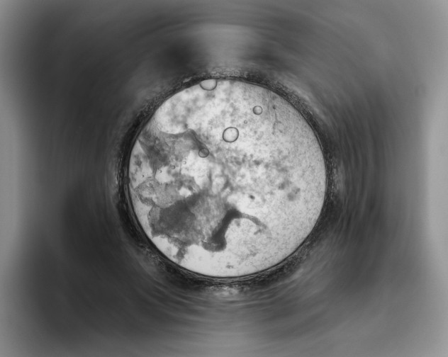 X0000093520687200711091740