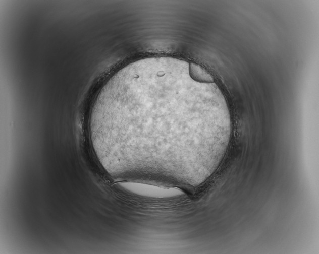 X0000093520688200711091740