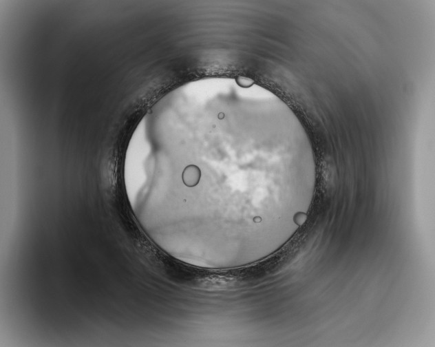 X0000093520691200711091740