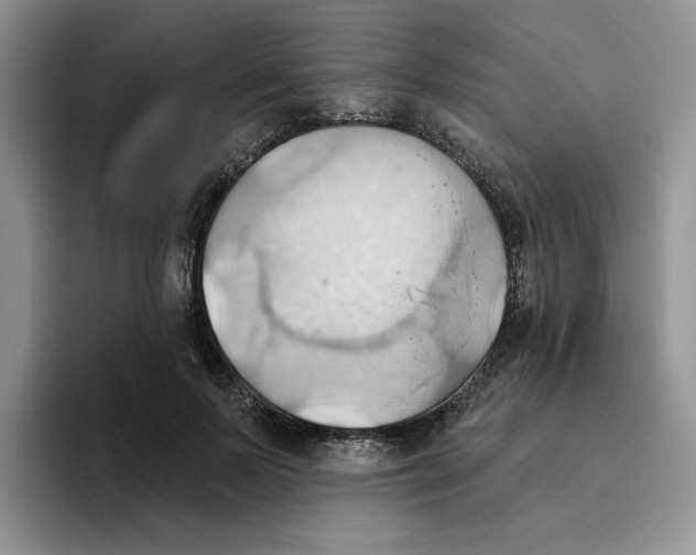 X0000093520695200711091740