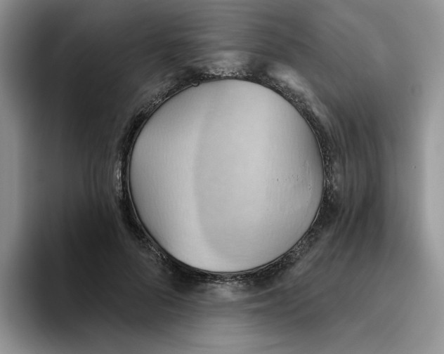 X0000093520696200711091740