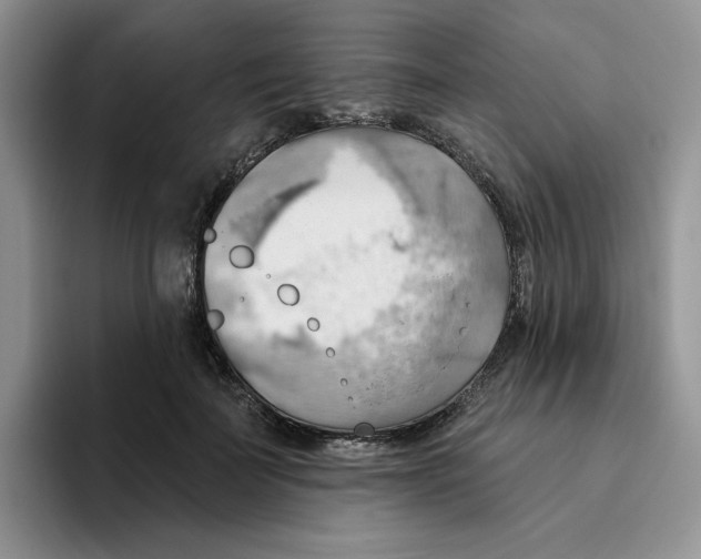 X0000093520699200711091740