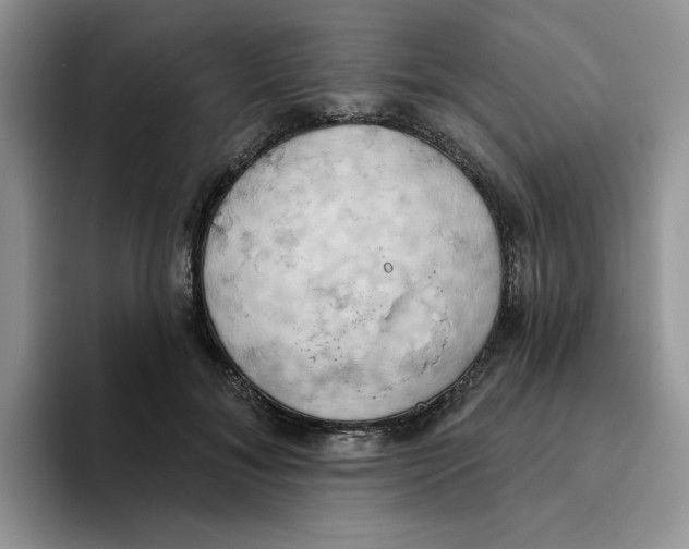 X0000093520700200711091739