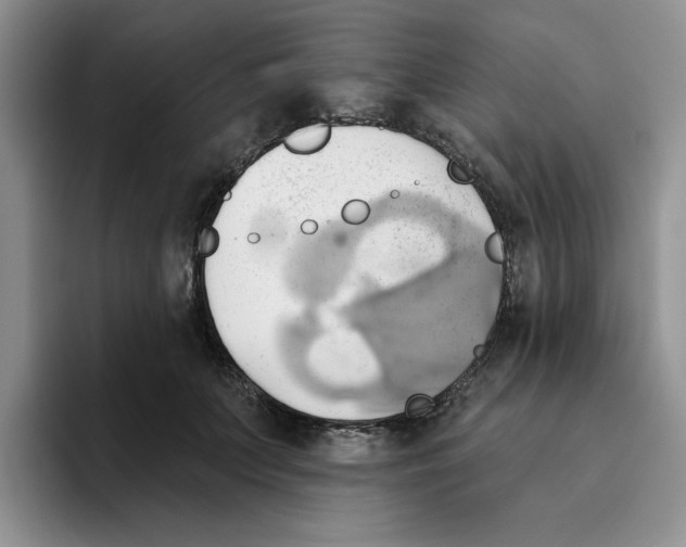 X0000093520703200711091739