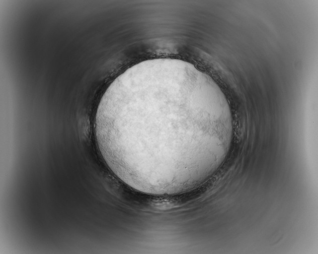 X0000093520704200711091739