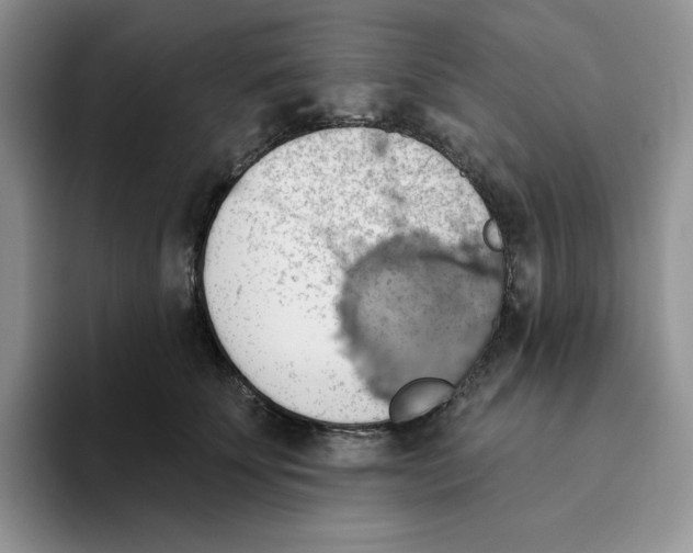 X0000093520707200711091739