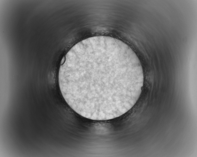 X0000093520708200711091739