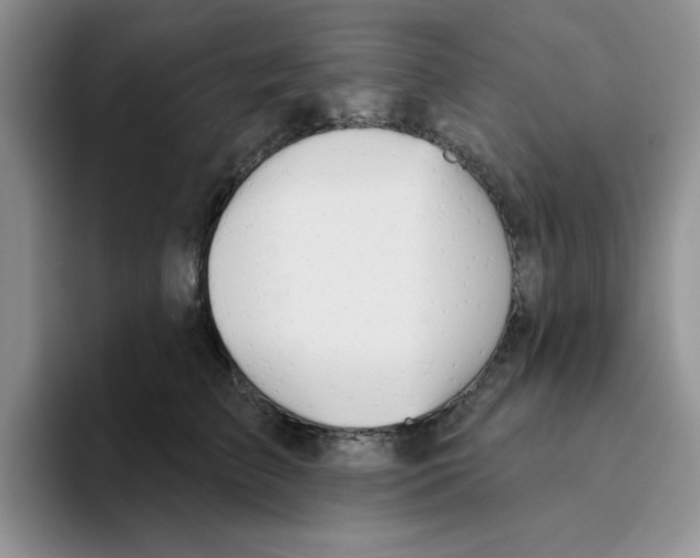 X0000093520709200711091739