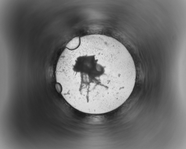 X0000093520711200711091739