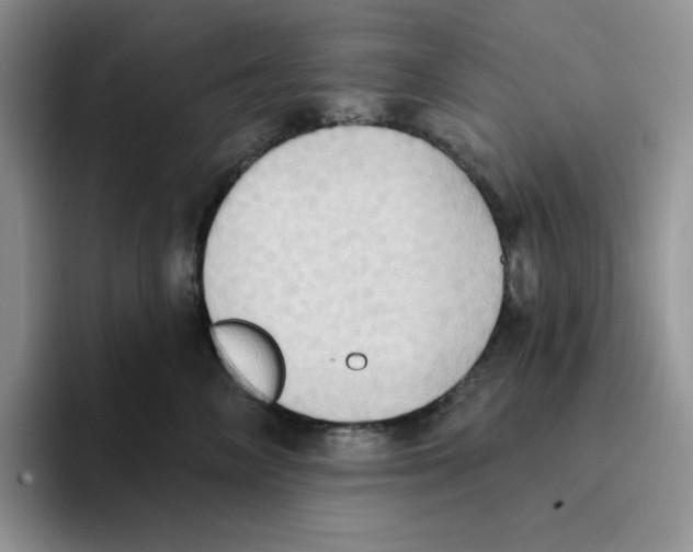 X0000093520714200711091739