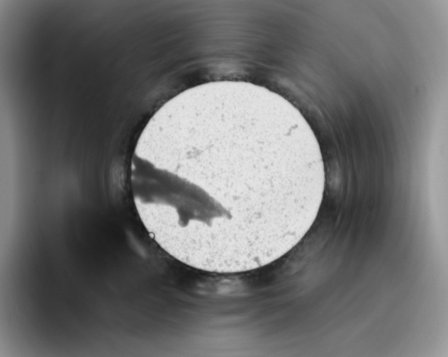 X0000093520715200711091739