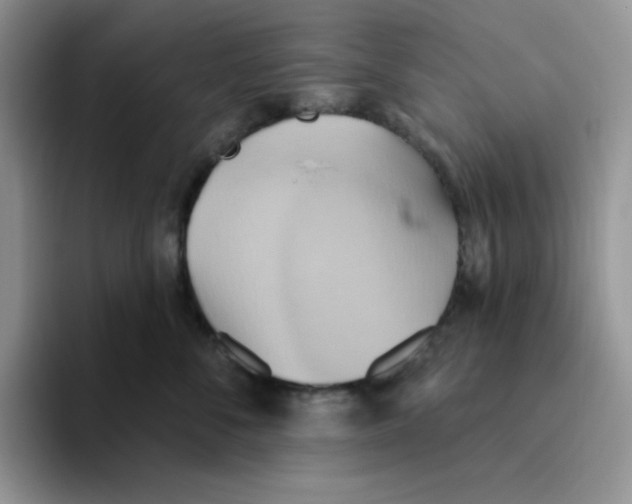 X0000093520716200711091739