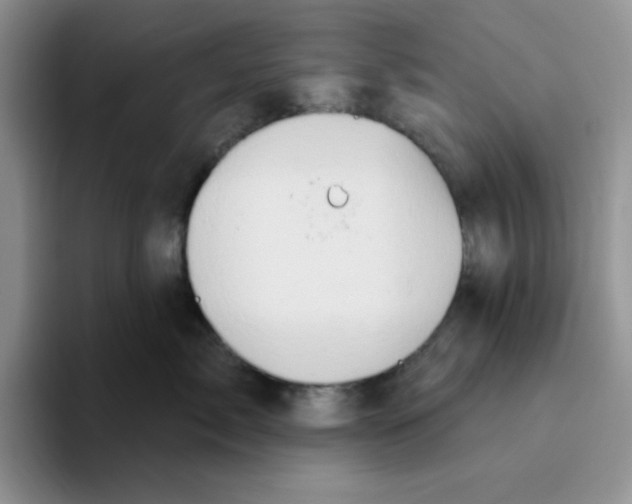 X0000093520717200711091739