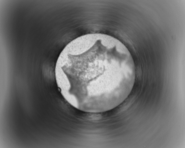 X0000093520719200711091739