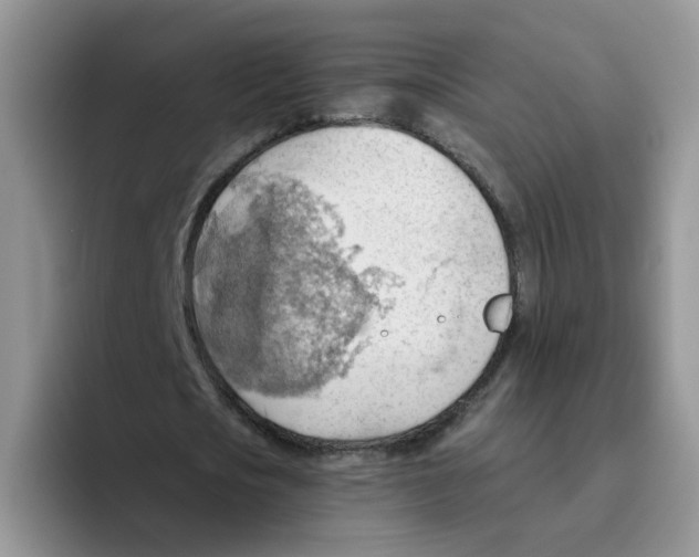 X0000093520721200711091739