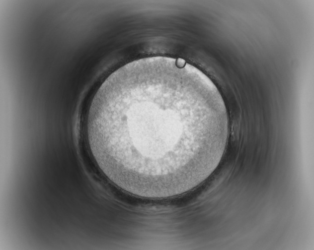 X0000093520722200711091739