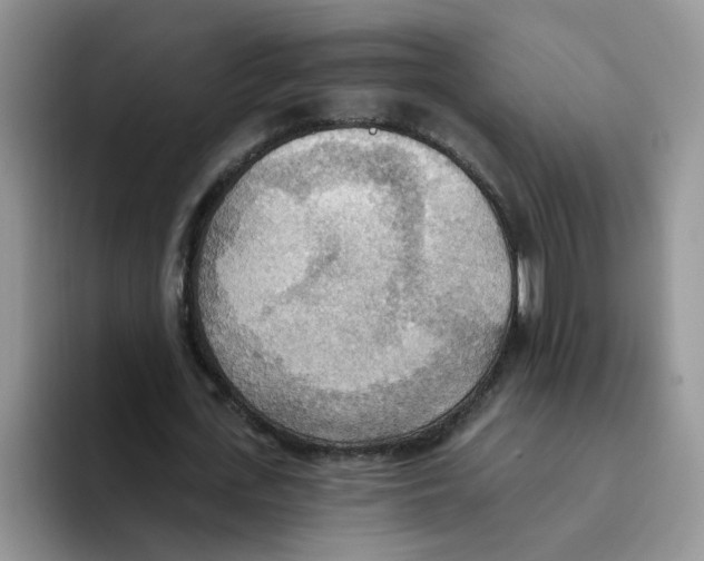 X0000093520723200711091739