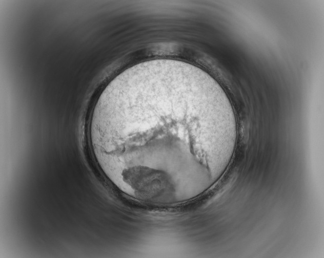 X0000093520725200711091739