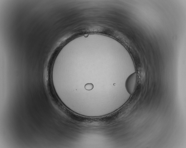 X0000093520726200711091739