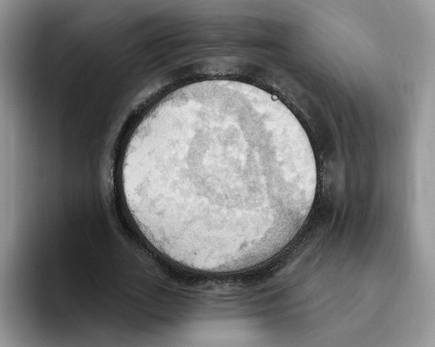 X0000093520727200711091739