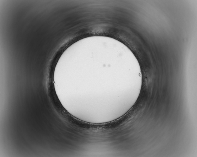 X0000093520728200711091739