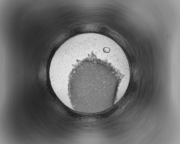 X0000093520729200711091739