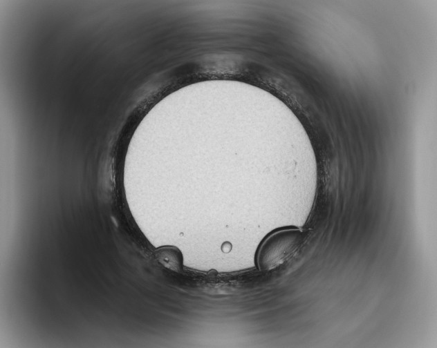 X0000093520731200711091739