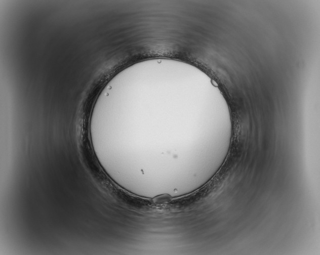 X0000093520736200711091739