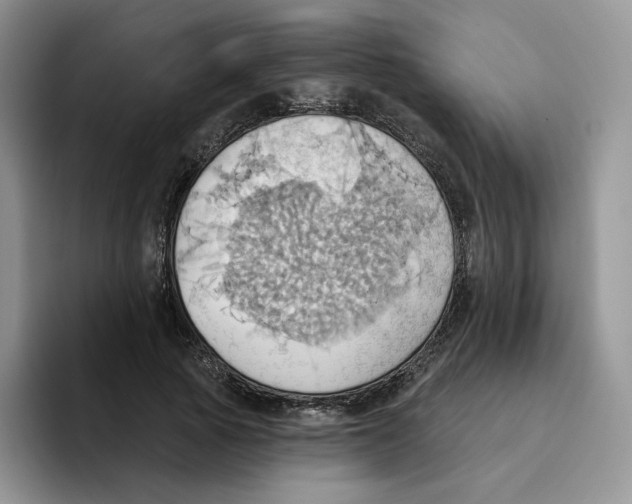 X0000093520737200711091739