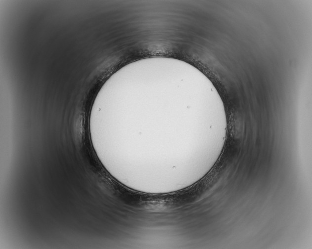 X0000093520740200711091739