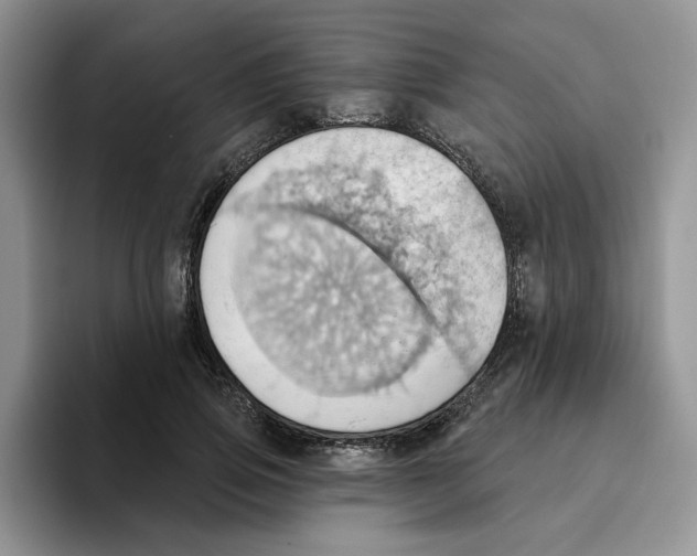 X0000093520741200711091739