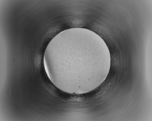 X0000093520742200711091739