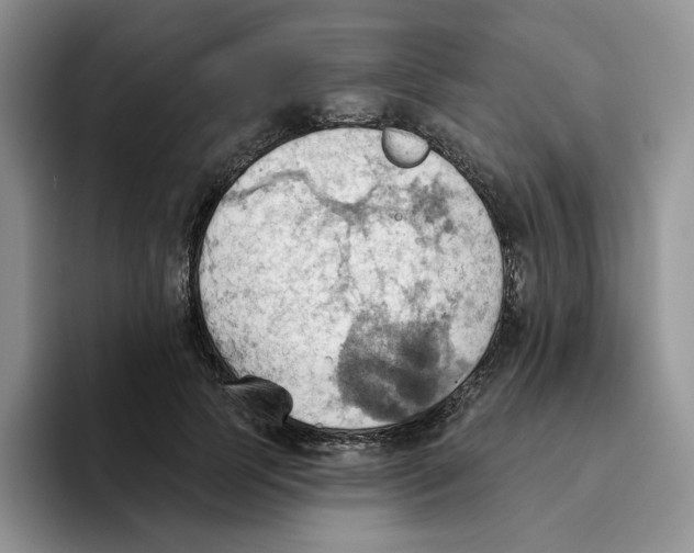 X0000093520745200711091739