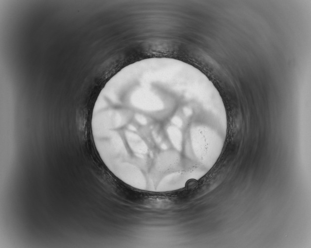 X0000093520749200711091739