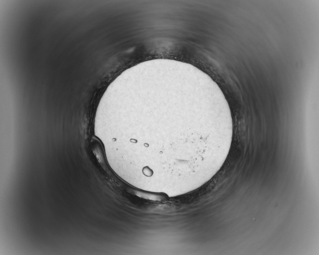 X0000093520750200711091739