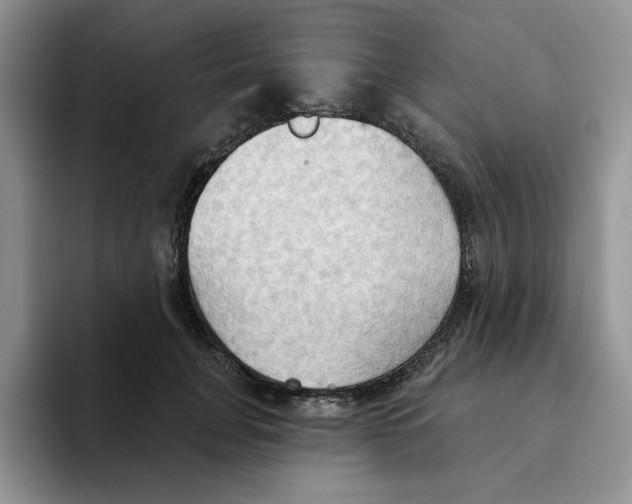 X0000093520751200711091739