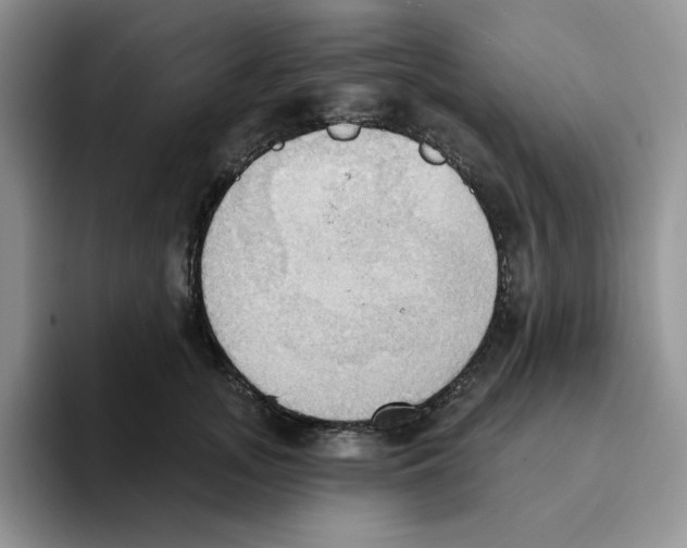 X0000093520755200711091739