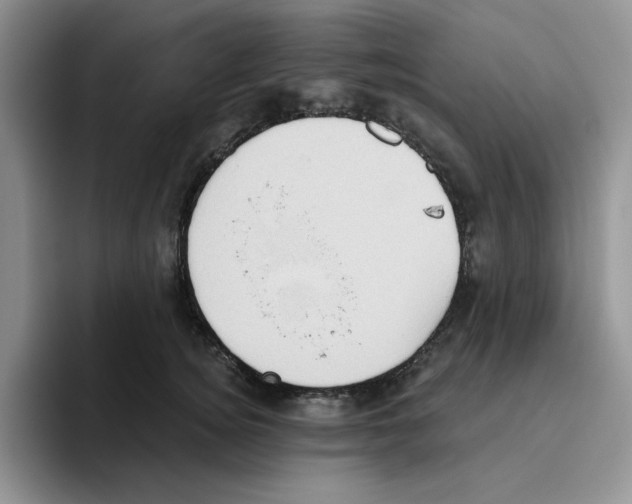 X0000093520756200711091739