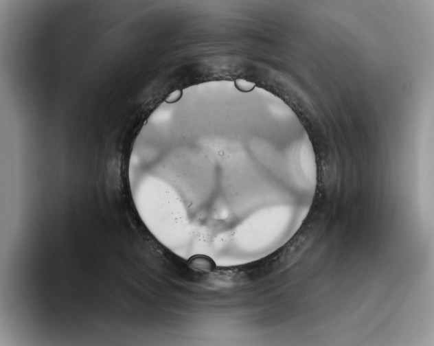 X0000093520757200711091739