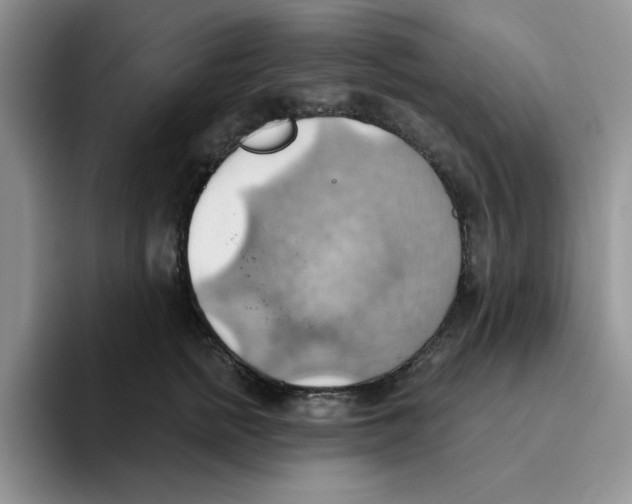 X0000093520758200711091739