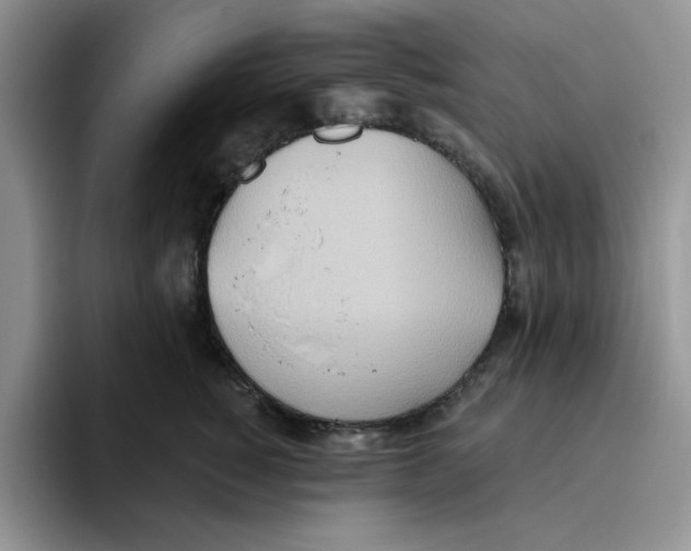 X0000093520760200711091739